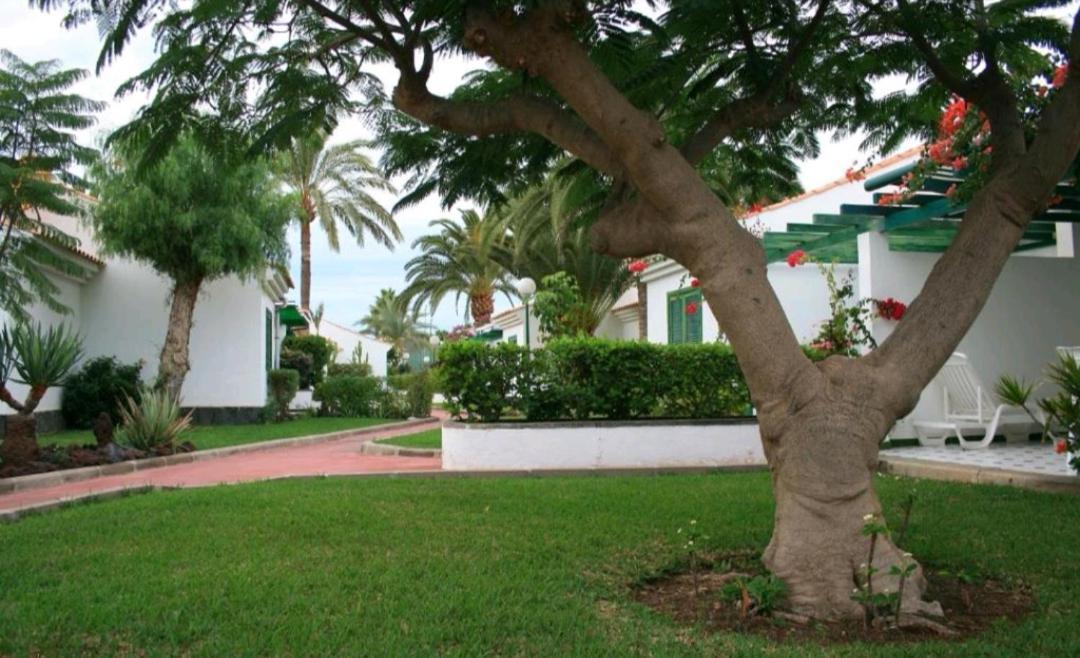 Maspalomas Dunas Golf Maspalomas (Gran Canaria) Exterior foto